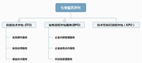 深度解讀 為何強烈推薦軟件外包服務(wù)作為專業(yè)服務(wù)外包的戰(zhàn)略選擇